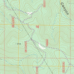 US Forest Service - Topo Luna, NM FSTopo Legacy digital map