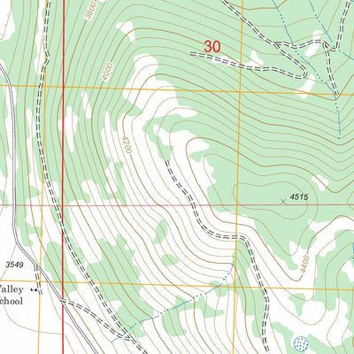US Forest Service - Topo Lynch Lake, MT FSTopo Legacy digital map