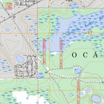 US Forest Service - Topo Lynne, FL FSTopo Legacy digital map