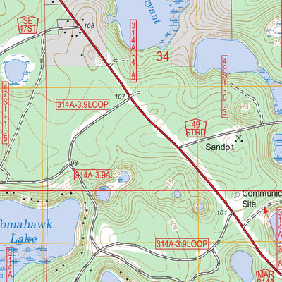 US Forest Service - Topo Lynne, FL FSTopo Legacy digital map