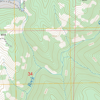 US Forest Service - Topo Lynx Pass, CO FSTopo Legacy digital map