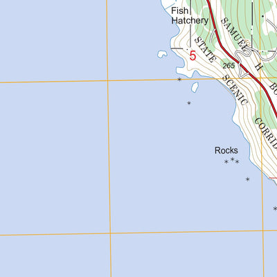 US Forest Service - Topo Mack Point, OR FSTopo Legacy digital map
