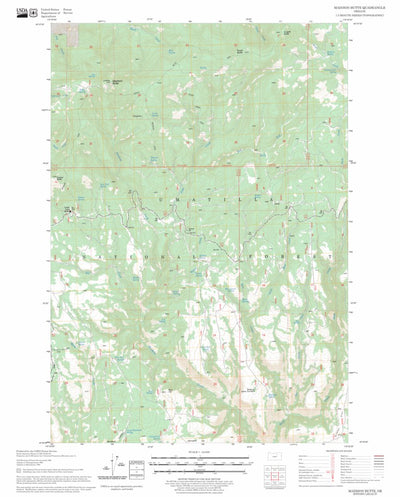 US Forest Service - Topo Madison Butte, OR FSTopo Legacy digital map