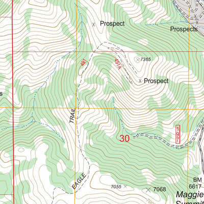 US Forest Service - Topo Maggie Summit, NV FSTopo Legacy digital map