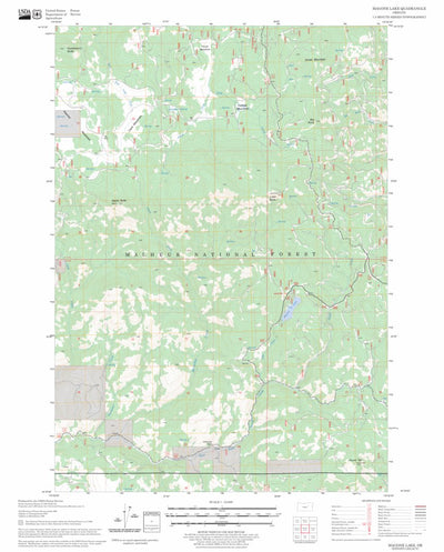 US Forest Service - Topo Magone Lake, OR FSTopo Legacy digital map