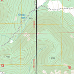 US Forest Service - Topo Mangas, NM FSTopo Legacy digital map