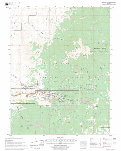 US Forest Service - Topo Manhattan, NV FSTopo Legacy digital map