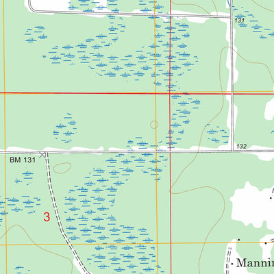 US Forest Service - Topo Manning, FL FSTopo Legacy digital map