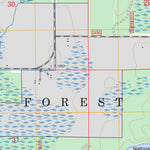 US Forest Service - Topo Marcell, MN FSTopo Legacy digital map