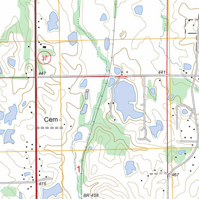 US Forest Service - Topo Marion, IL FSTopo Legacy digital map