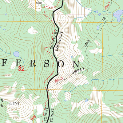 US Forest Service - Topo Marion Lake, OR FSTopo Legacy digital map