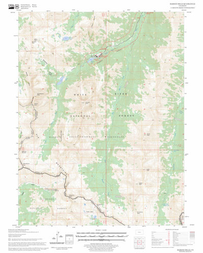 US Forest Service - Topo Maroon Bells, CO FSTopo Legacy digital map