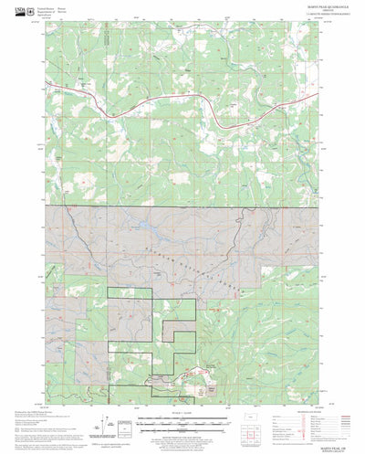 US Forest Service - Topo Marys Peak, OR FSTopo Legacy digital map