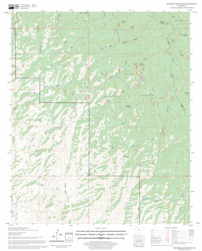 US Forest Service - Topo Maverick Mountain, NM FSTopo Legacy digital map