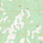 US Forest Service - Topo Maverick Mountain, NM FSTopo Legacy digital map