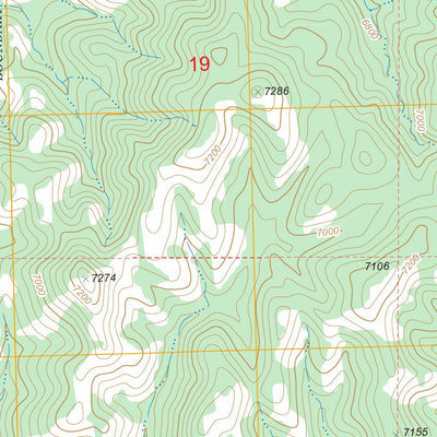 US Forest Service - Topo Maverick Mountain, NM FSTopo Legacy digital map