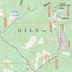 US Forest Service - Topo Maverick Mountain, NM FSTopo Legacy digital map