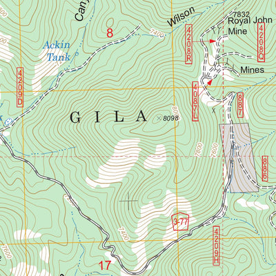 US Forest Service - Topo Maverick Mountain, NM FSTopo Legacy digital map