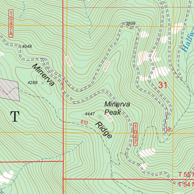 US Forest Service - Topo Minerva Peak, ID FSTopo Legacy digital map