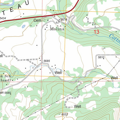 US Forest Service - Topo Molina, CO FSTopo Legacy digital map