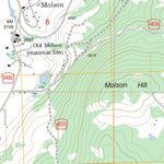 US Forest Service - Topo Molson, WA FSTopo Legacy digital map