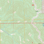 US Forest Service - Topo Monica Saddle, NM FSTopo Legacy digital map