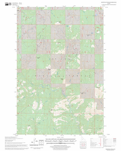 US Forest Service - Topo Montana Peak, ID FSTopo Legacy digital map
