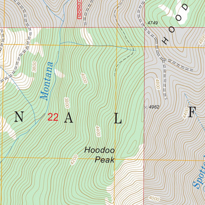US Forest Service - Topo Montana Peak, ID FSTopo Legacy digital map