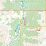 US Forest Service - Topo Mount Massive, CO digital map