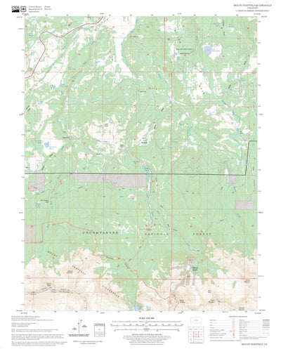 US Forest Service - Topo Mount Sneffels, CO digital map