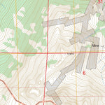 US Forest Service - Topo Mount Sneffels, CO digital map