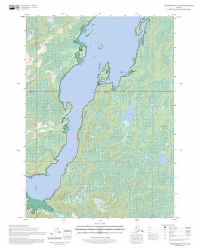 Petersburg C-6 NW, AK FSTopo Preview 1