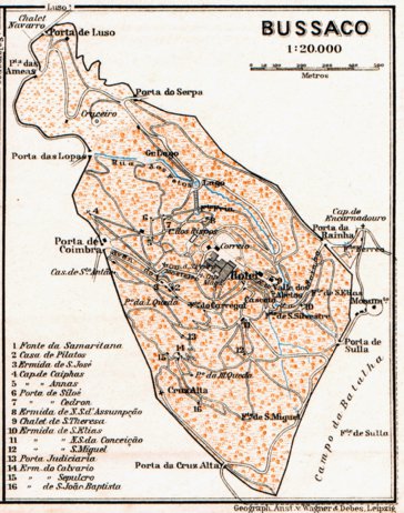 Waldin Bussaco town plan, 1929 digital map
