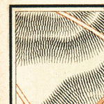 Waldin Escorial de Arriba town plan, 1899 digital map