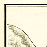 Waldin Laodicea on the Lycus (Laodikeia), site map after G. Weber, 1905 digital map