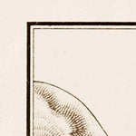 Waldin Laodicea on the Lycus (Laodikeia), site map after G. Weber, 1914 digital map