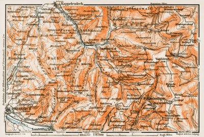 Waldin Map of the environs of the monastery of All Saints (Allerheiligen), 1909 digital map