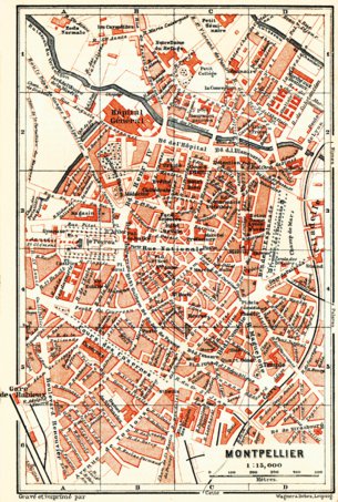 Waldin Montpellier city map, 1885 digital map