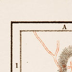 Waldin Nîmes city map, 1913 (1:12,000 scale) digital map