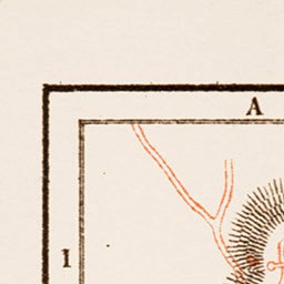 Waldin Nîmes city map, 1913 (1:12,000 scale) digital map