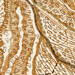 Waldin South Crimea: Simferopol - Alushta district map, 1904 digital map