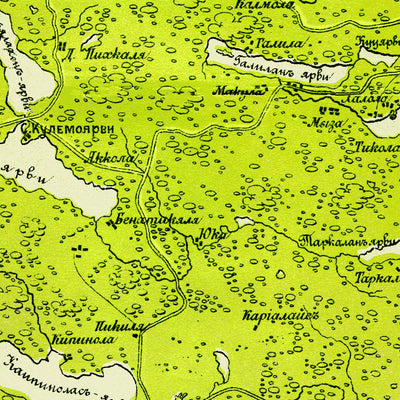Waldin Карта дачныхъ мѣстностей въ окрестностяхъ Петербурга. St. Petersburg Environs Map (up to Vyborg) digital map