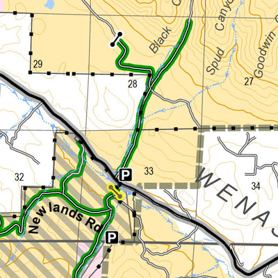 Washington State Department of Natural Resources Wenas Green Dot Road Map digital map