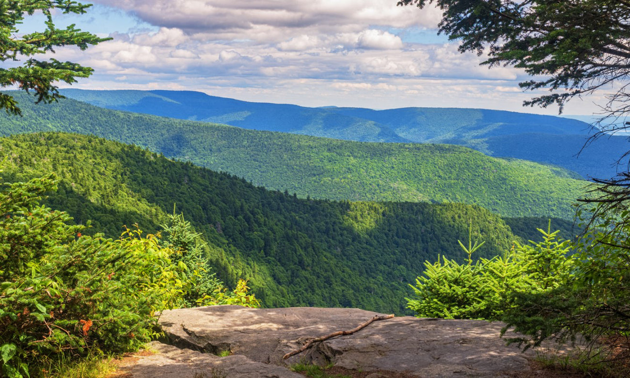 West Kill Summit, Catskill Mountains