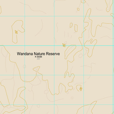 Western Australia Department of Biodiversity, Conservation and Attractions (DBCA) COG Series Map 1941-14: No 9 Bore and Yalalinga digital map