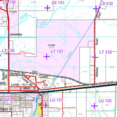 Western Australia Department of Biodiversity, Conservation and Attractions (DBCA) COG Series Map 2334-14: Cunderdin and Tammin digital map