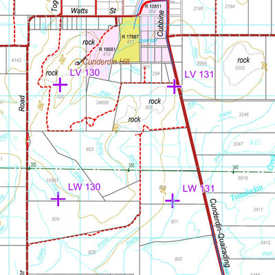 Western Australia Department of Biodiversity, Conservation and Attractions (DBCA) COG Series Map 2334-14: Cunderdin and Tammin digital map