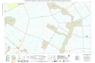 Western Australia Department of Biodiversity, Conservation and Attractions (DBCA) COG Series Map 3131-23: Lowle and Bald Rock digital map