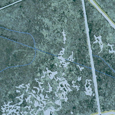 Western Michigan University LA-BAY L'OURS: ORTHOPHOTOMAP 1973 digital map
