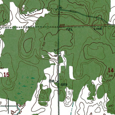 Western Michigan University MI-Barbeau: Authoritative US Topos 1951 digital map